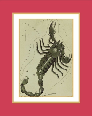 Scorpio